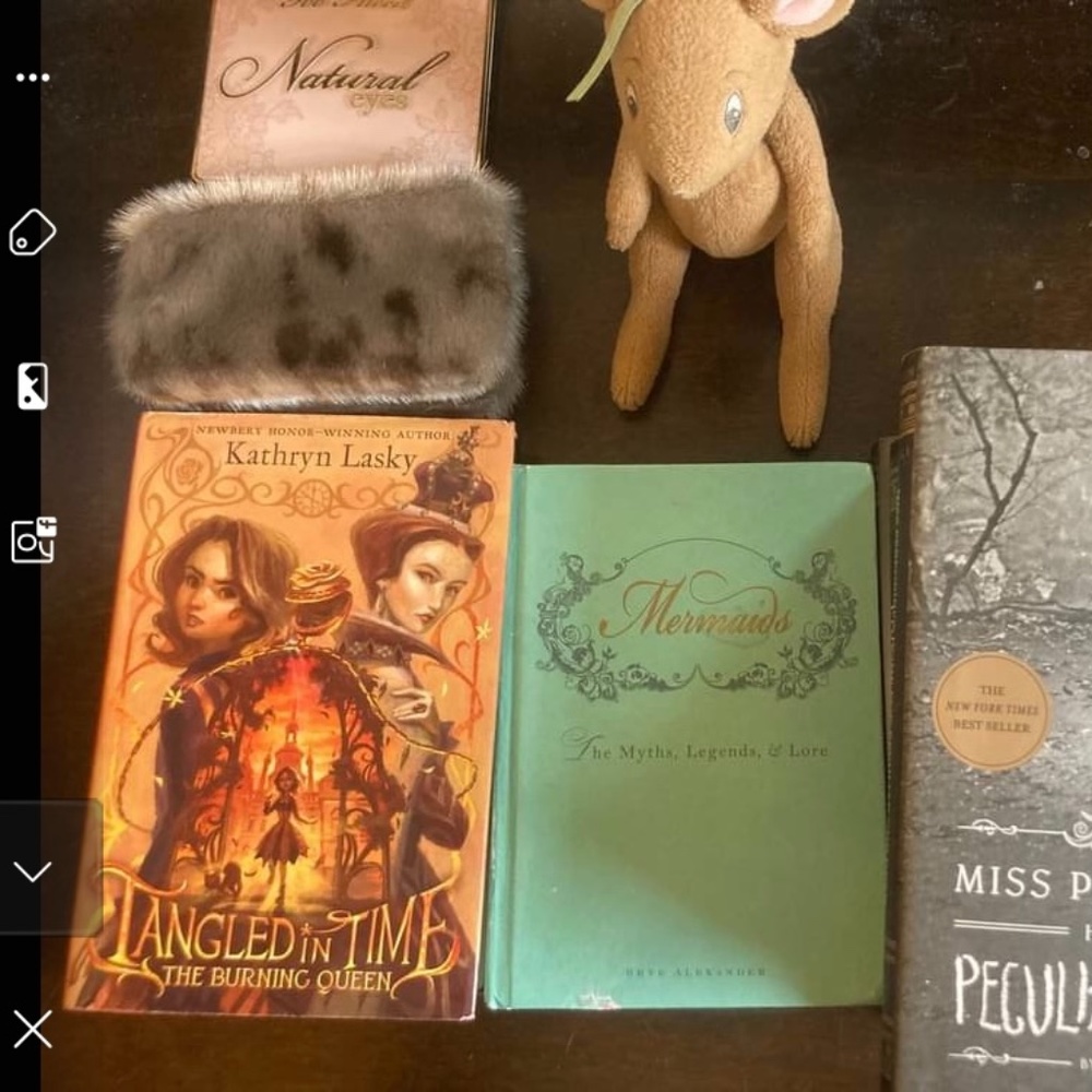 Chapter books(sold)